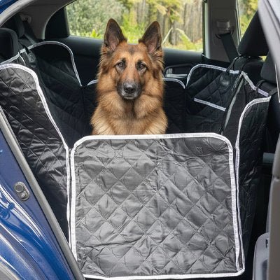 Housse voiture chien | ImperShield - Le Chihuahua Voyageur