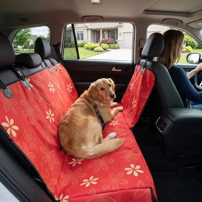 Housse voiture chien solide