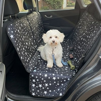 Housse voiture chien star