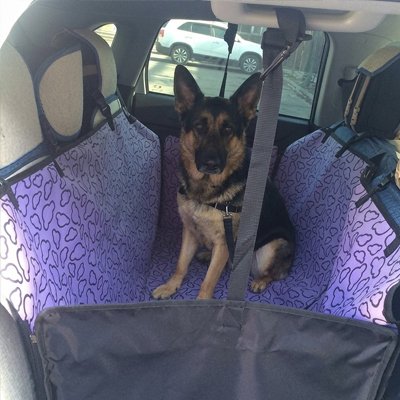 Housse voiture chien  violet