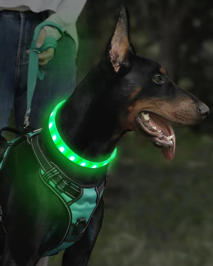 Collier lumineux chien-Led couleur