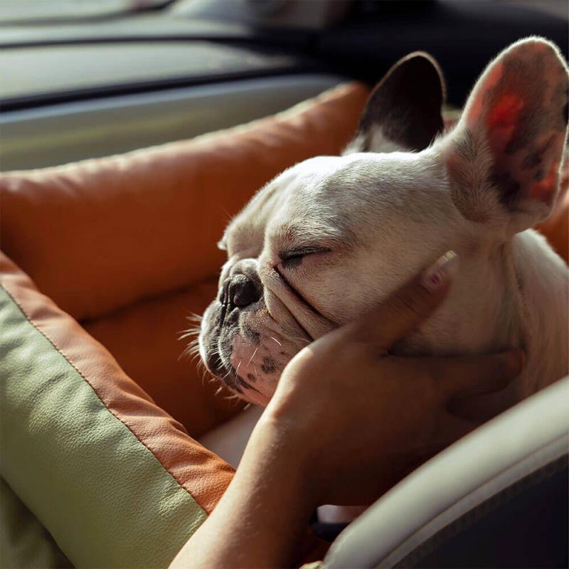 Caisse de transport pour chien- Sac confort voiture
