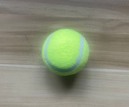 Lanceur de Balle pour chien- Perche flexible