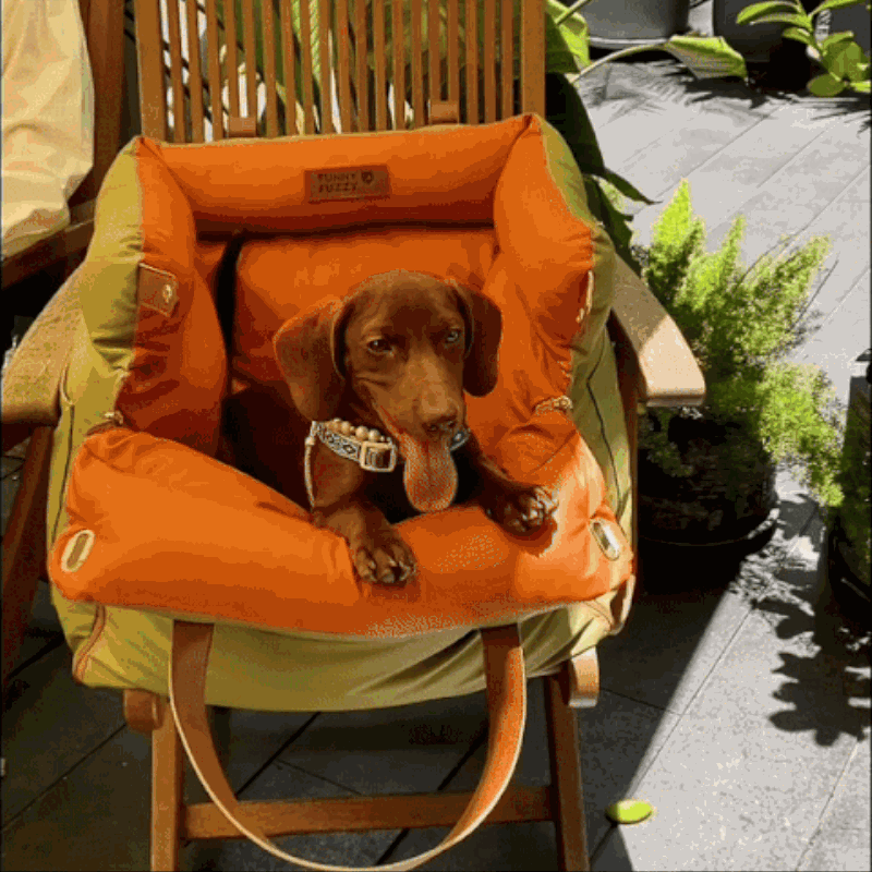 Caisse de transport pour chien- Sac confort voiture