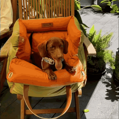Caisse de transport pour chien- Sac confort voiture
