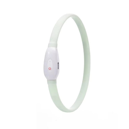 Collier lumineux chien-Led couleur