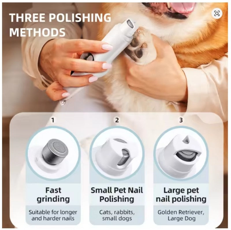 Tondeuse pour chien- 2 en 1 rasoir et griffes