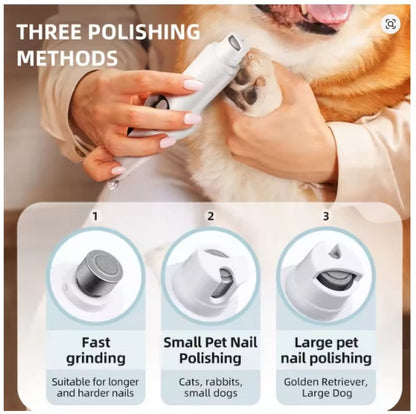 Tondeuse pour chien- 2 en 1 rasoir et griffes