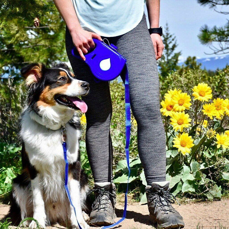 Laisse chien- multifonction pour animaux de compagnie