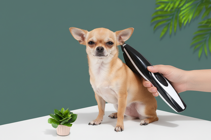 Tondeuse pour chien-Foot Shaver