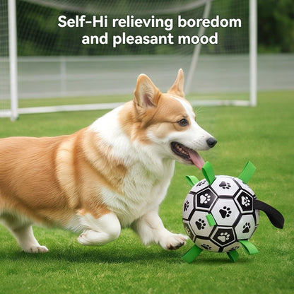 La Balle pour chien- Football Dreamer