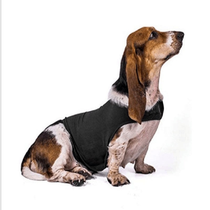 Un Pull pour chien- Chandail apaisant