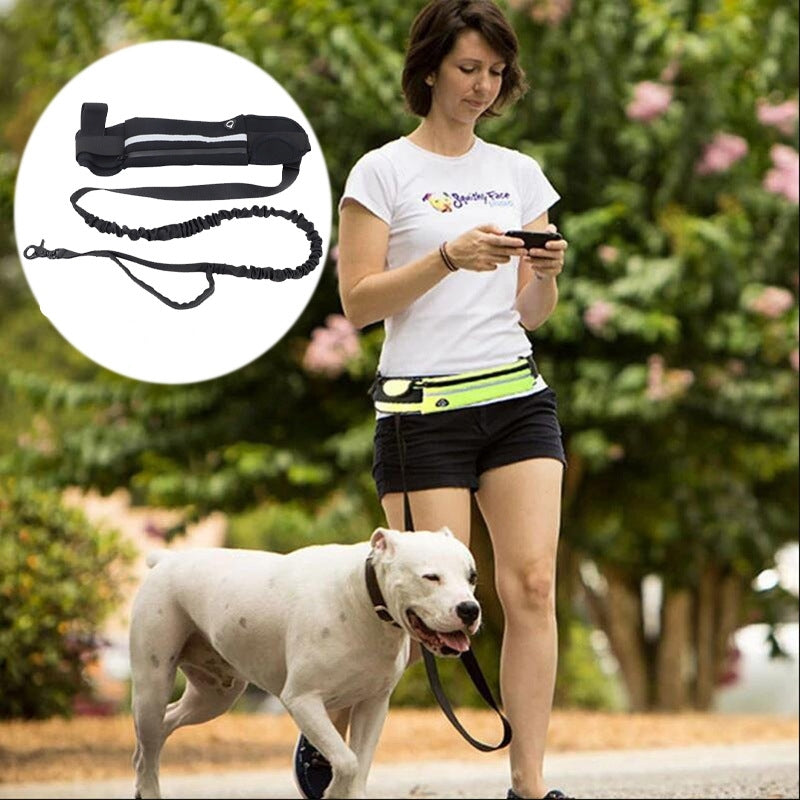 Laisse pour chien- Sac Banane