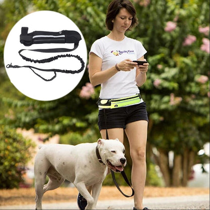 Laisse pour chien- Sac Banane