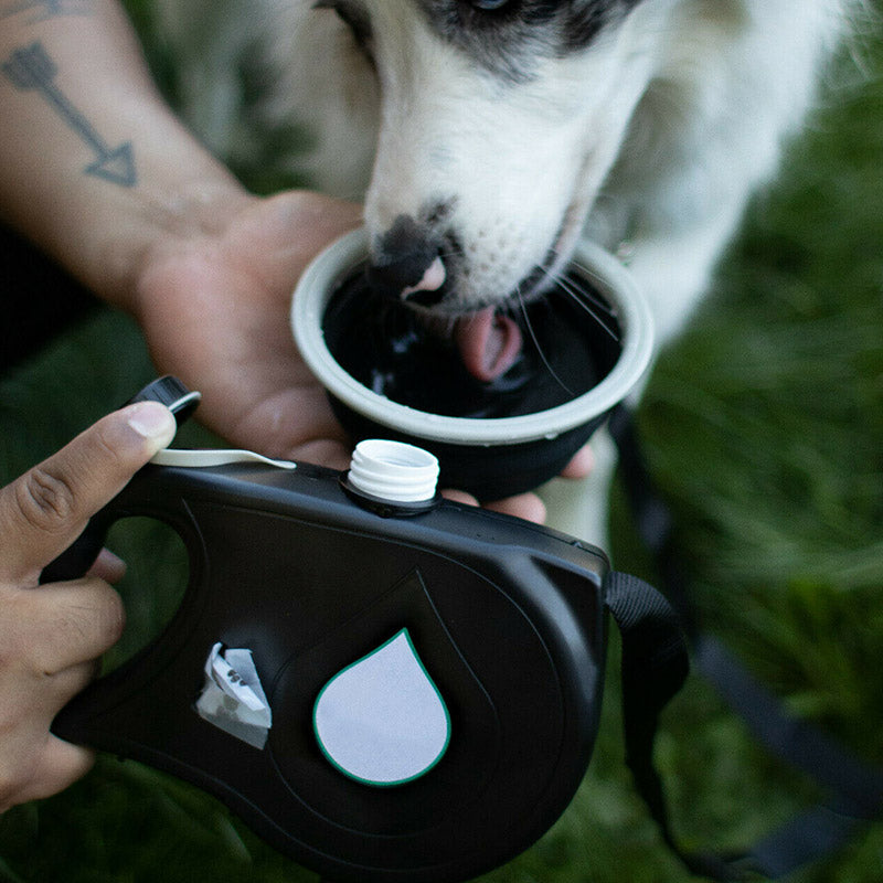 Laisse chien- multifonction pour animaux de compagnie