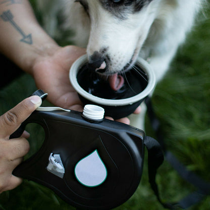 Laisse chien- multifonction pour animaux de compagnie