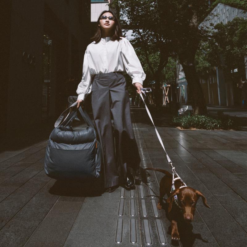 Caisse de transport pour chien- Sac confort voiture