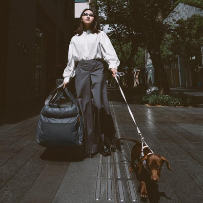 Caisse de transport pour chien- Sac confort voiture