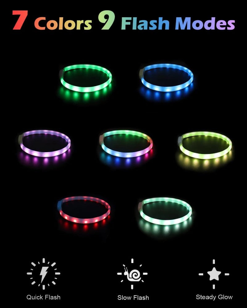 Collier lumineux chien-Led couleur
