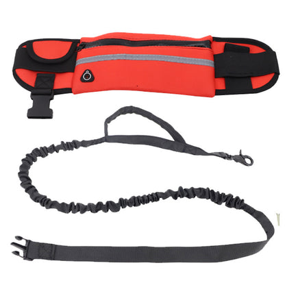 Laisse pour chien- Sac Banane