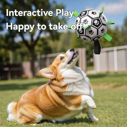 La Balle pour chien- Football Dreamer