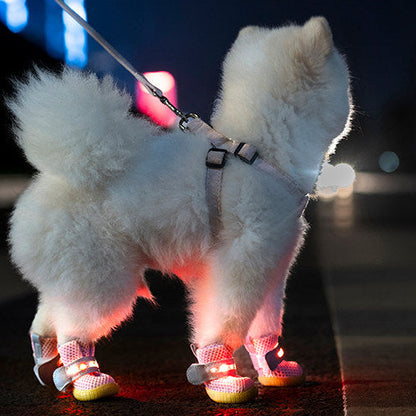 chaussure chien |  MINI-LED Respirante