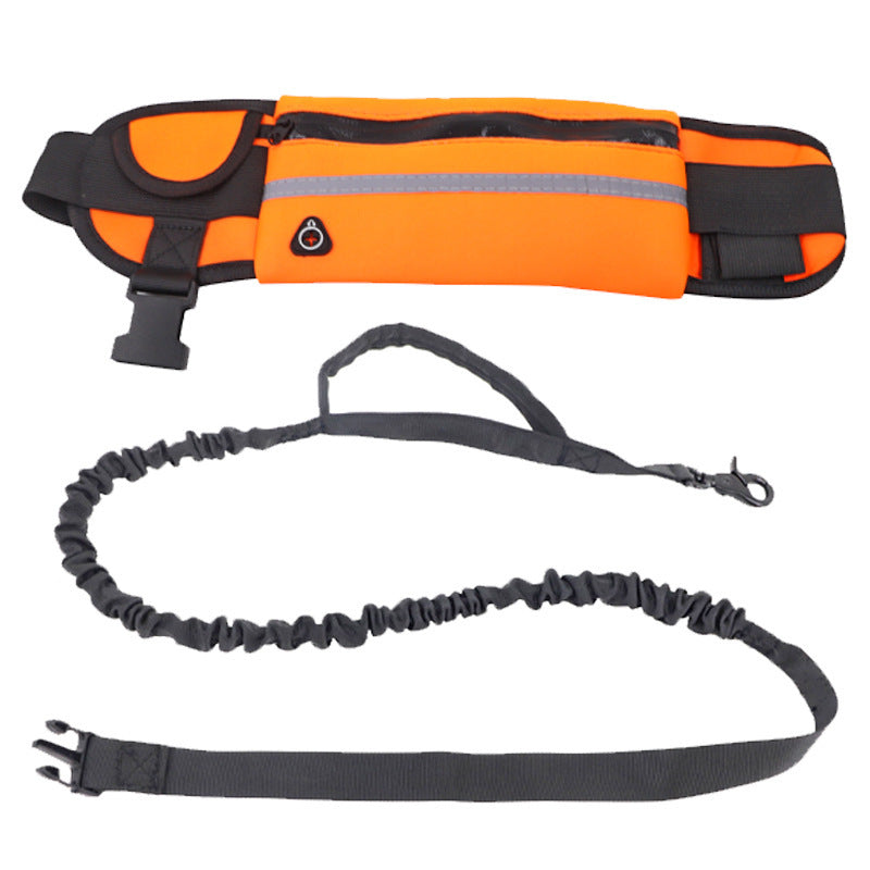 Laisse pour chien- Sac Banane