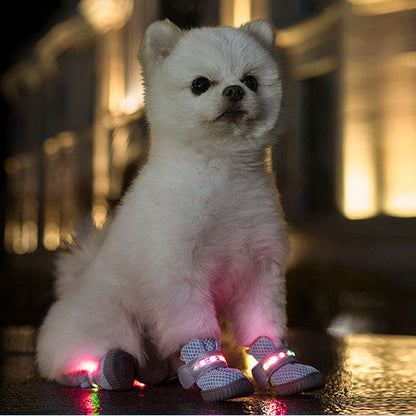 chaussure chien |  MINI-LED Respirante