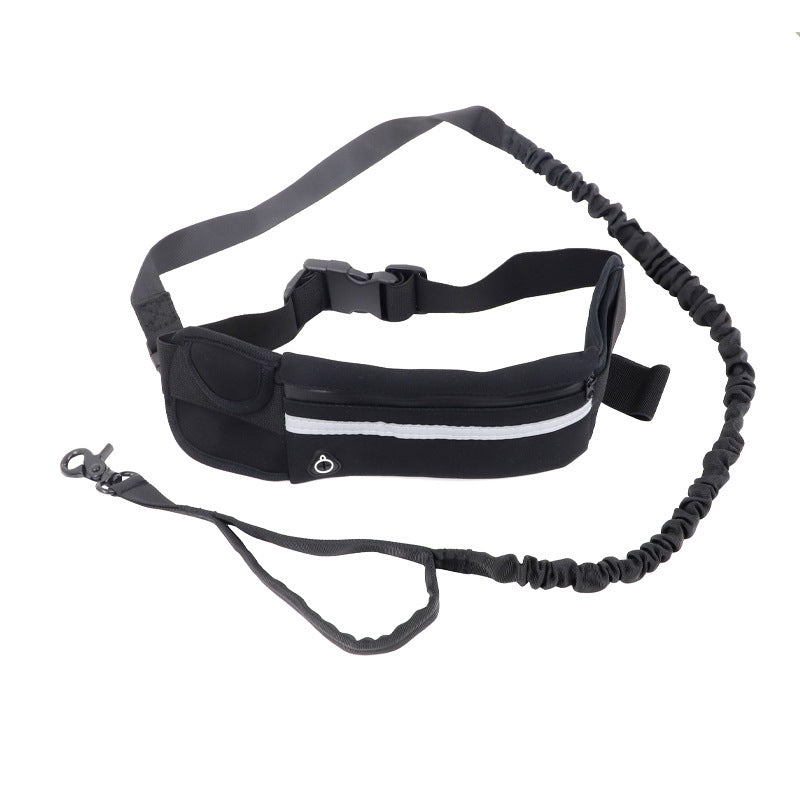 Laisse pour chien- Sac Banane