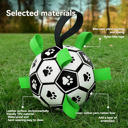 La Balle pour chien- Football Dreamer
