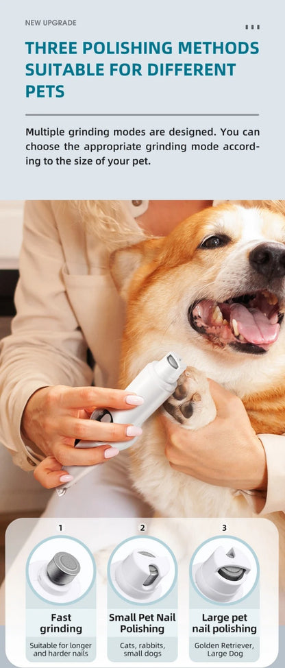 Tondeuse pour chien- 2 en 1 rasoir et griffes