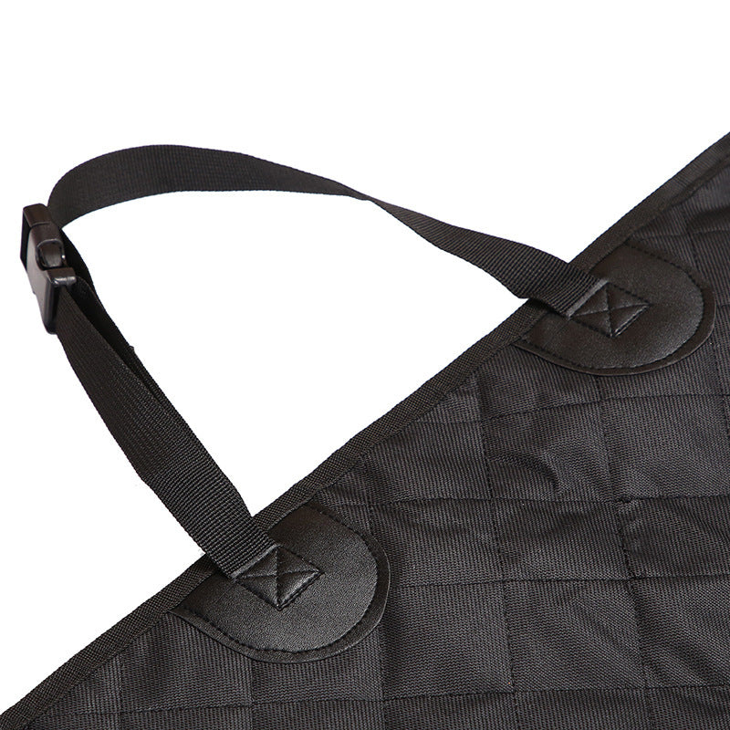 Protection pour-chien- housse et laisse de sortie