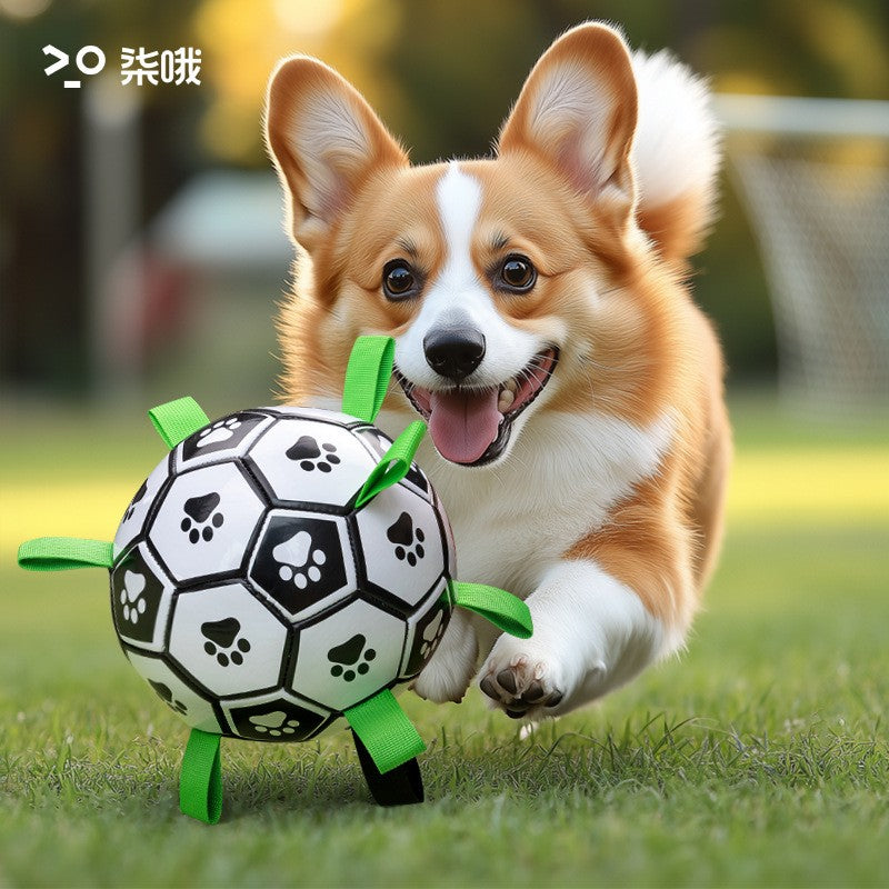 La Balle pour chien- Football Dreamer