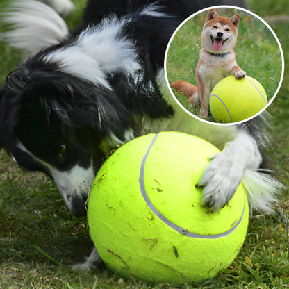 La Balle pour chien- GEANTE