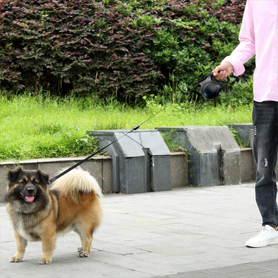 Laisse pour chien-Enroulable Lumineuse