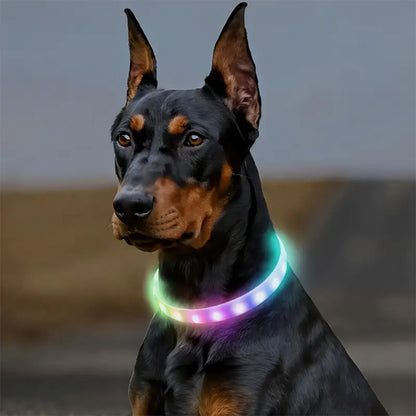 Collier lumineux chien-Led couleur