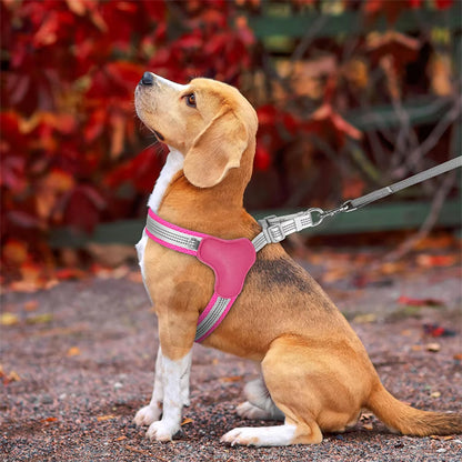 Harnais anti traction chien-Reflex Respirant