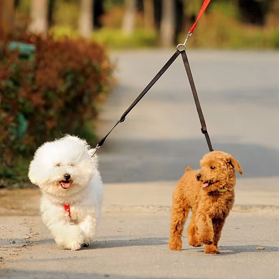 Laisse double pour chien-Rallonge double