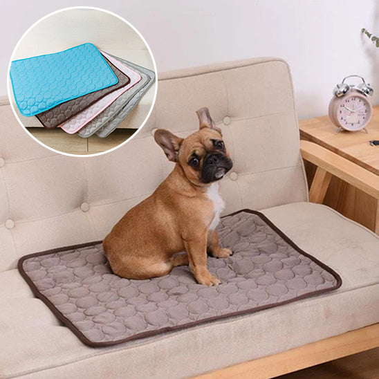 Tapis rafraichissant chien- Coussin refroidissant