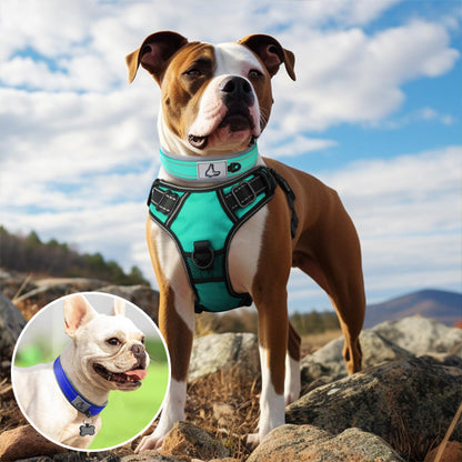 Collier pour chien-Réfléchissant Joytale