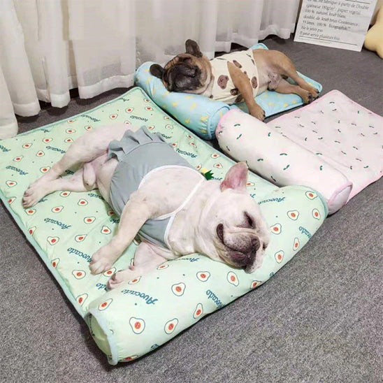 Tapis rafraichissant chien-Cool bed