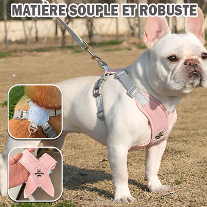 Harnais chien anti traction - Gilet en croix