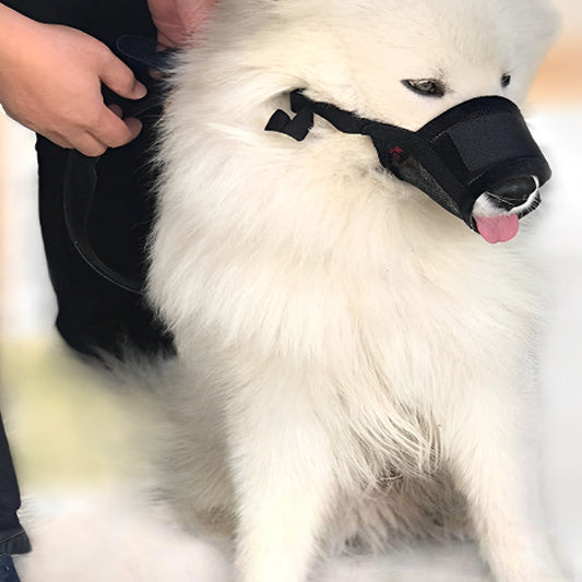 Muselière chien- Souple en maille* Noir