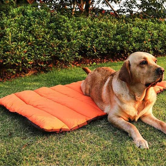 Lit de camp pour chien - Sac de couchage