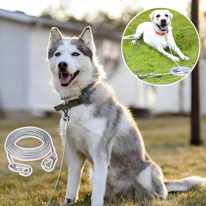 Longe pour chien-Premium wire