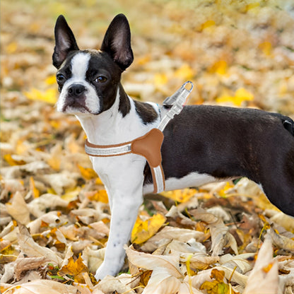 Harnais anti traction chien-Reflex Respirant