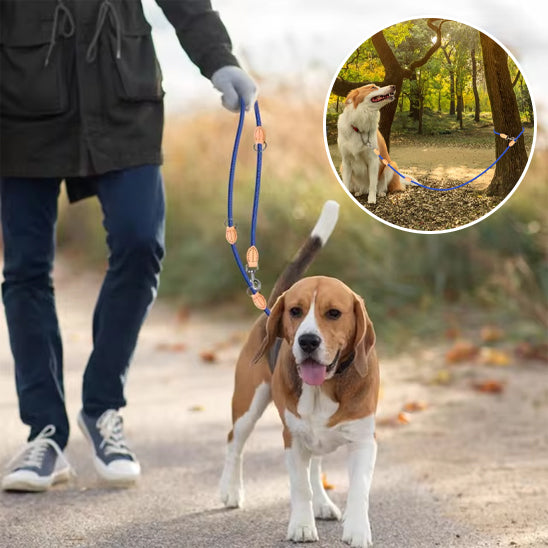 Laisse double pour chien | Sans enchevêtrement