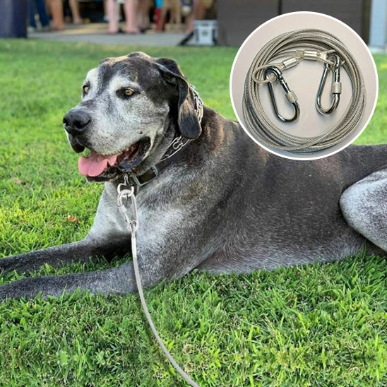 Longe pour chien-Premium wire