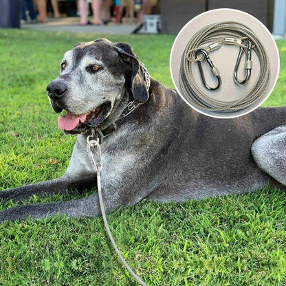 Longe pour chien-Premium wire
