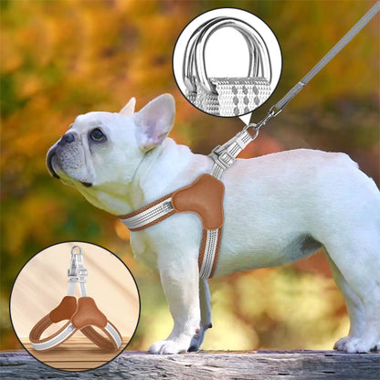 Harnais anti traction chien-Reflex Respirant